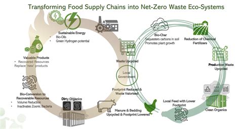 Organic Waste Management Solution