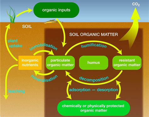 Organic matter: