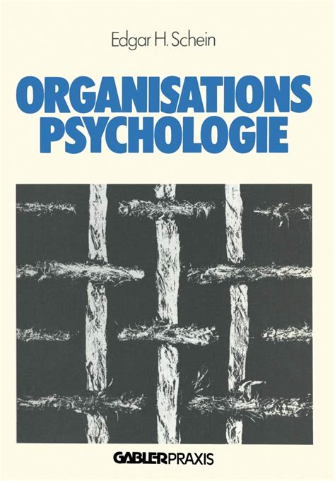 Organisationspsychologie Führung Strategie Organisation German Edition Kindle Editon