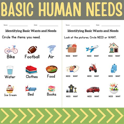 Organisms Have Basic Needs Printable Sheets All In One Homeschool
