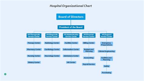 Organizational Chart For Hospital