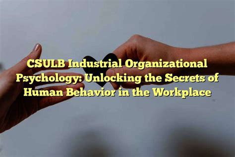 Organizational Psychology Masters: Unlocking the Secrets of Human Behavior in the Workplace