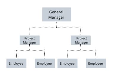 Organizational Structure and Key Functions