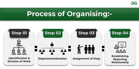 Organize and Process Information: