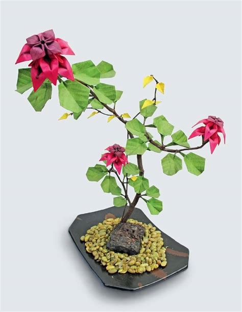 Origami Bonsai Kit Create Beautiful Botanical Sculptures! PDF