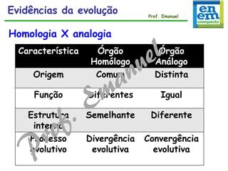 Origem e Evolução da Canga