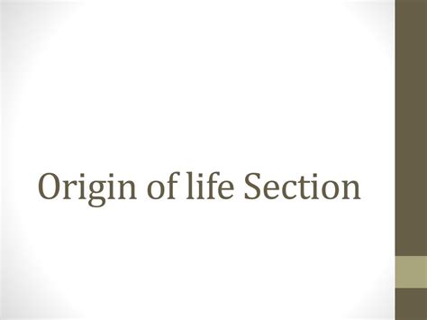 Origin Of Life Section 2 Answers Doc