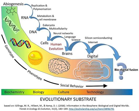 Origin and Biology