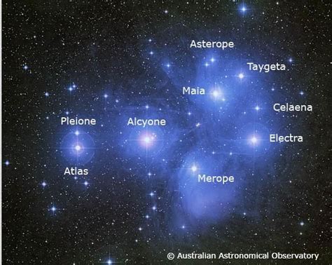 Origin and Formation of the Pleiades