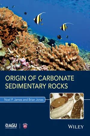 Origin of Sedimentary Rocks Ebook Reader