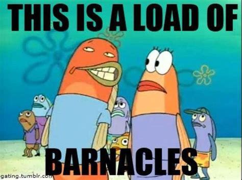 Origin of the Phrase "This Is a Load of Barnacles"