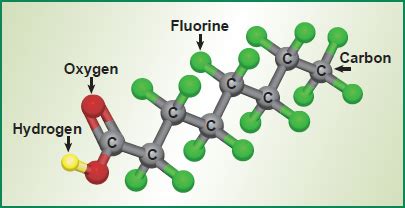 Origins, Structure, and Properties