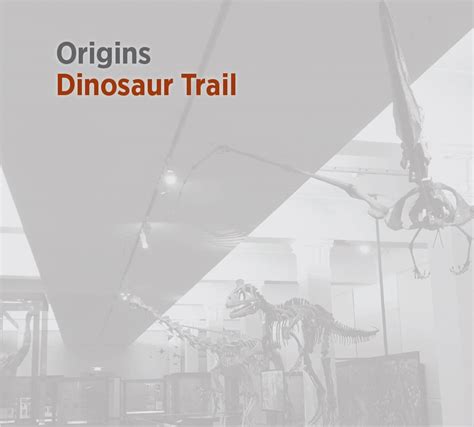 Origins: A Trail of Mystery and Experimentation