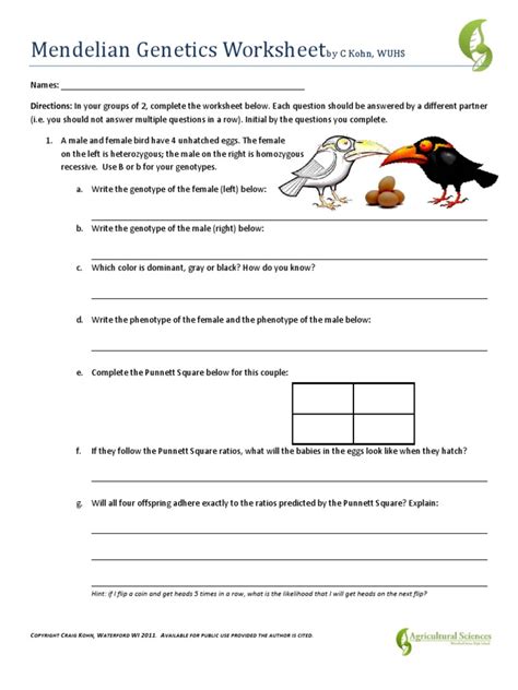 Origins Of Genetics Quiz Answers Epub