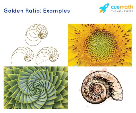 Origins and Applications of the Golden Ratio