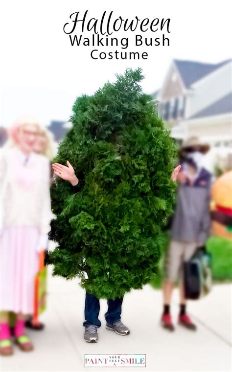 Origins and Evolution of Bush Costumes