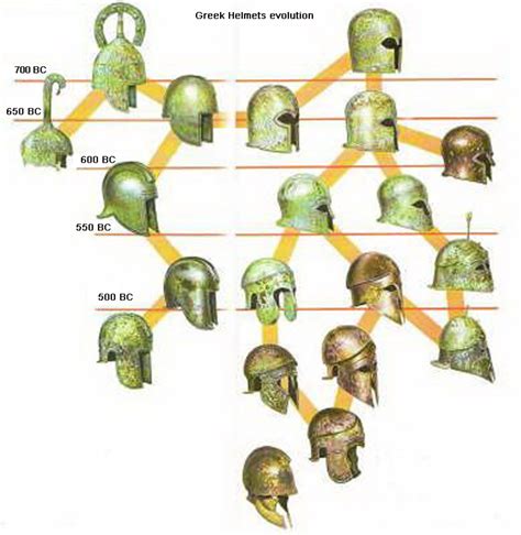 Origins and Evolution of the Helmet in a Bush