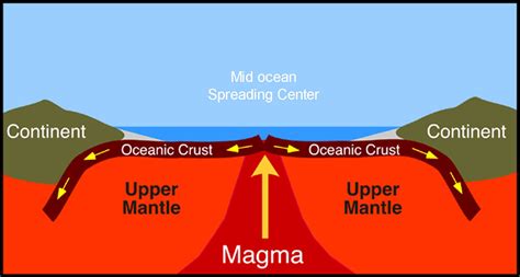 Origins and Formation of Oceanic Stones