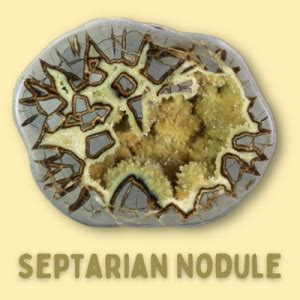 Origins and Formation of Septarian Stones