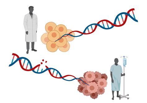 Origins and Genetics: