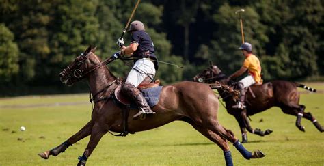 Origins and History of Polo Golf