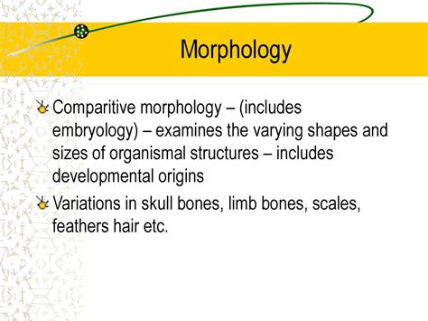 Origins and Morphology