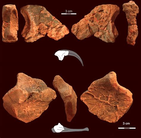 Origins and Significance of Lightning Claws