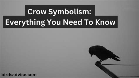 Origins and Symbolism of the Crow Dress