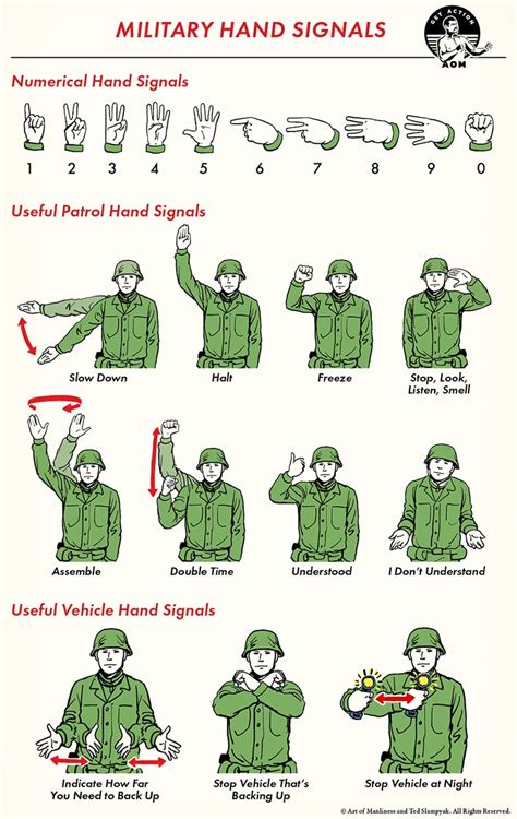 Origins of the Hand Signal