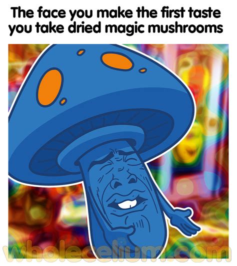 Origins of the Shroom Meme