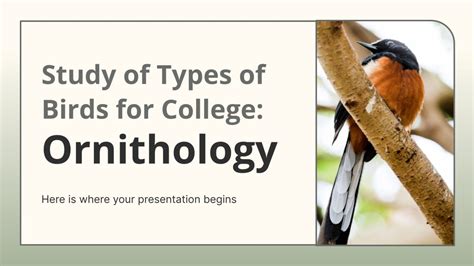 Ornithology Classes in College: Soaring into the Realm of Birds