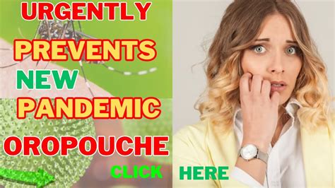 Oropouche Virus: A Comprehensive Guide to Prevention and Treatment