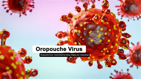 Oropouche Virus: A Guide to Prevention, Symptoms, and Treatment