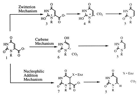 Orotidine Monophosphate Decarboxylase A Mechanistic Dialogue Reader