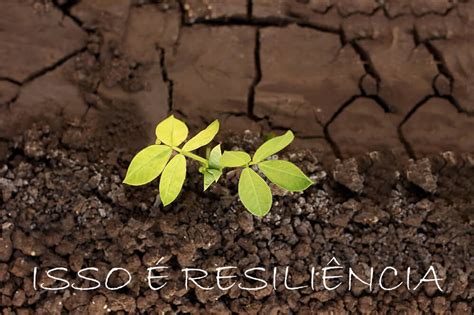 Os 6 de Bucha: Símbolo de Resistência e Resiliência