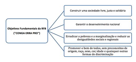 Os Princípios Fundamentais do Método Bomba Vasconcelos