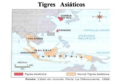 Os Quatro Principais Sinais do Tigre