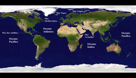 Os oceanos do mundo abrigam cerca de 80% de toda a vida na Terra,