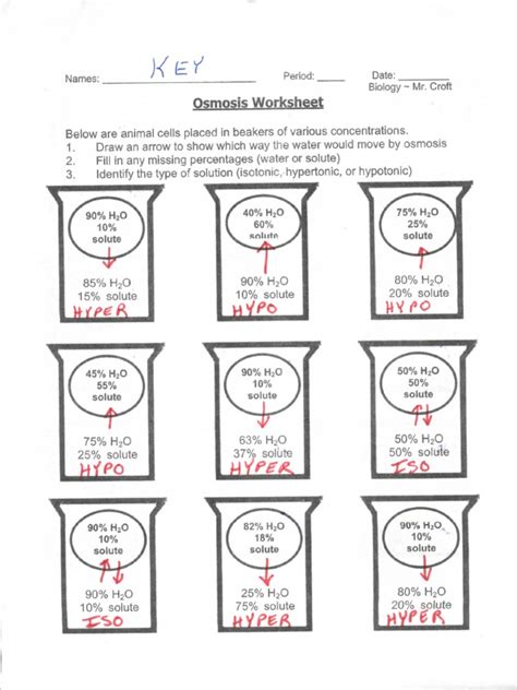 Osmosis Worksheet Answer Key PDF