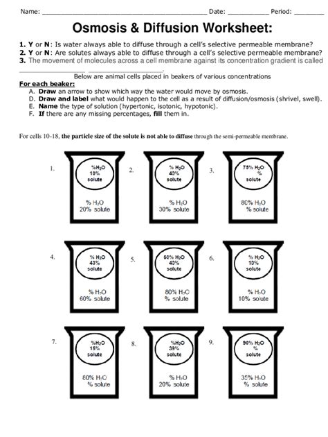 Osmosis Worksheet Answers Reader