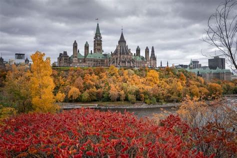 Ottawa in the News: A Comprehensive Guide to the City's Top Stories