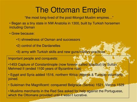 Ottoman Empire: An AP World History Definition