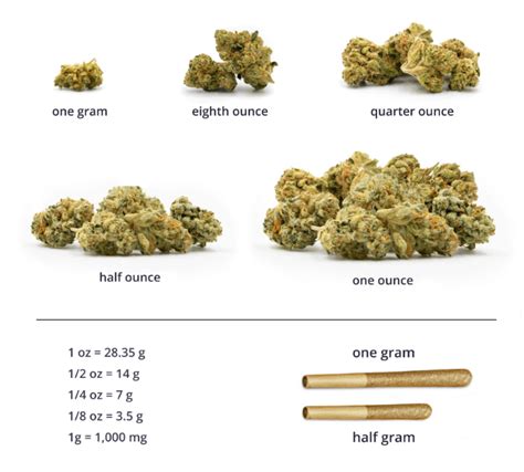 Ounces to Quarter: A Comprehensive Understanding