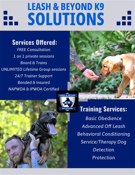 Our Mission: Unlocking Canine Potential