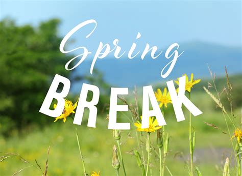Out For Spring Break PDF