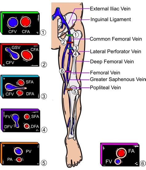 Out of the Vein: A Lyrical Examination