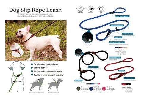 Outdoor Dog Leashes: A Comprehensive Guide for Safe and Enjoyable Adventures