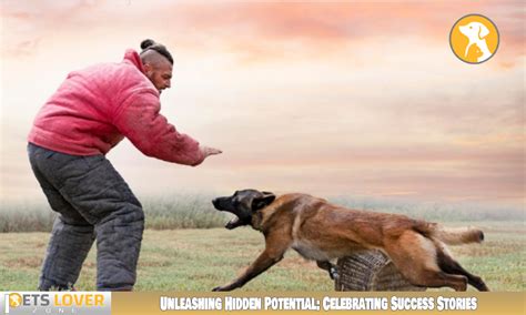 Outlawdoni: Unleashing the Canine's Hidden Potential