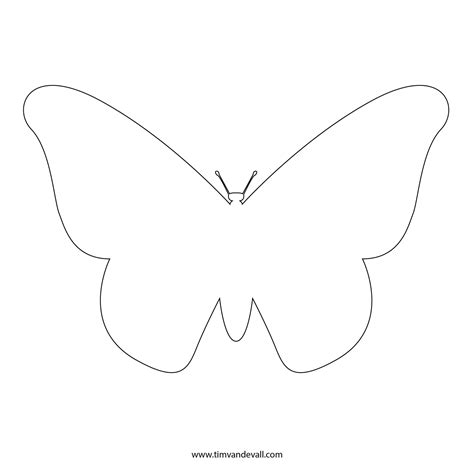 Outline Butterfly Template