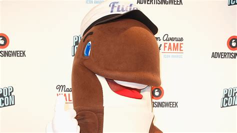 Overcoming Adversity: Lessons from Fudgie the Whale